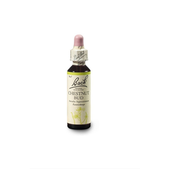 Dr.Bach - Chestnut Bud - Poupě jírovce (kaštanu) 20 ml